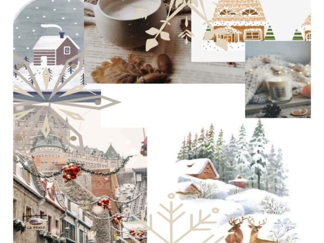 Unsere Weihnachts-Feier 2025